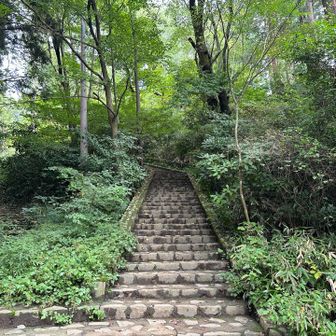 高尾山頂前の階段。去年はここでだいぶへばった