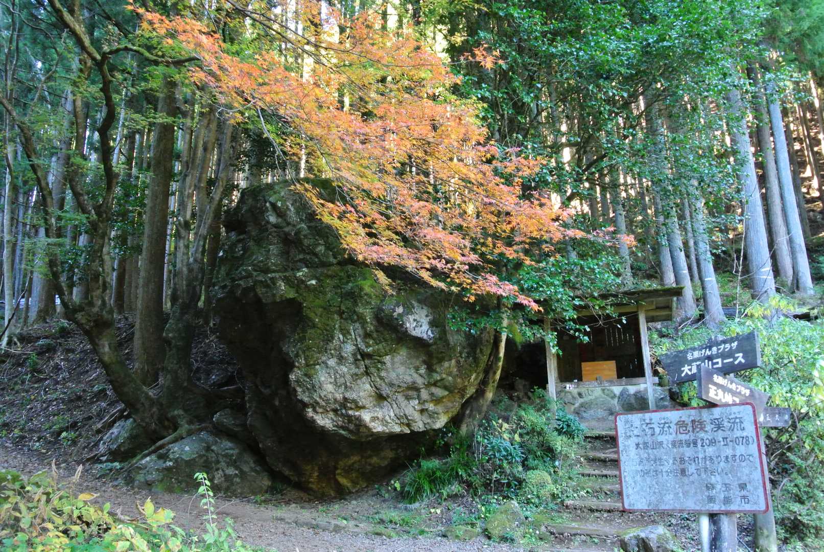 正丸峠分岐には大きな岩が。