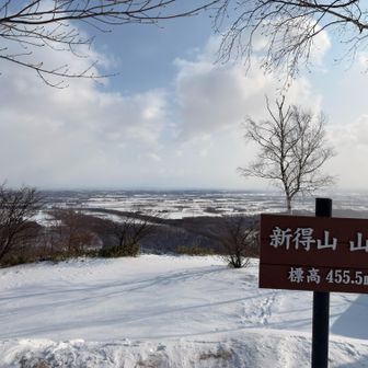 上がるとすぐ山頂