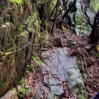 濡れた岩滑り易いが上まで登ります。