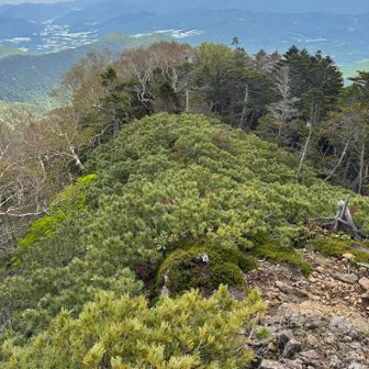 ツルネから、出合小屋へと続く道
こちらも一度は踏みたい
