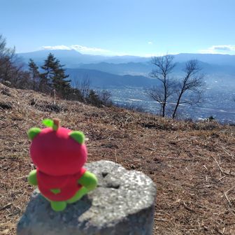 この子1人で座れるんです🍎
登山口近くのファミマで買いました。1300円dポイントで。でも、信濃町道の駅に寄ったら、同じアルクマ1100円でした。