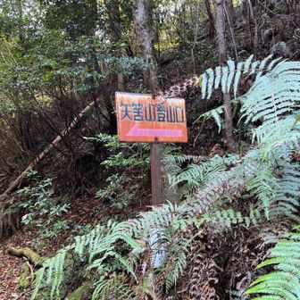 車道を進んだら登山口がある