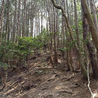 ピーク前は少々の急登