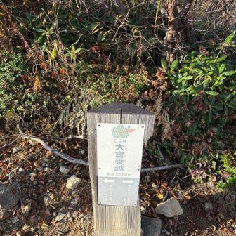 外輪山の大倉乗越に到着