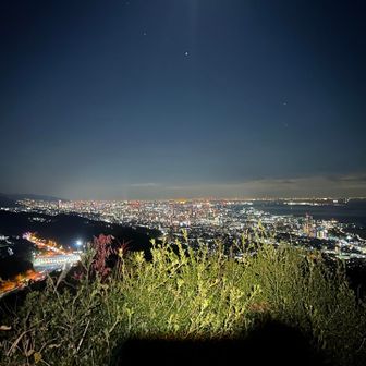 ずっと遠くから来たんだなと思う時
なんだか嬉しくなる