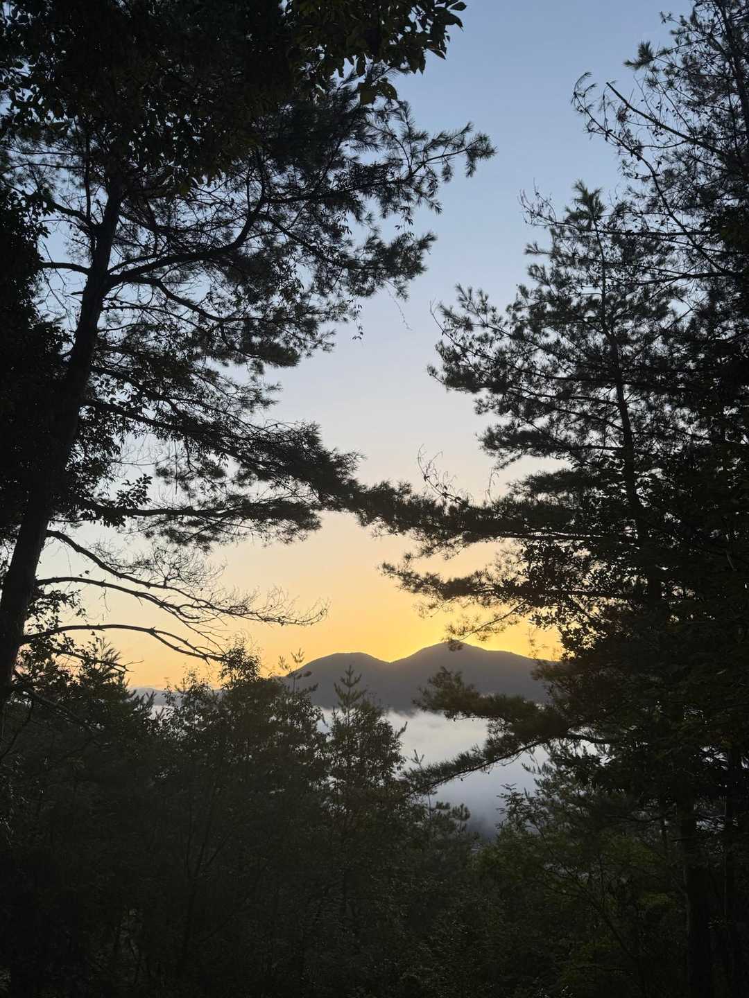 あら、綺麗🤩