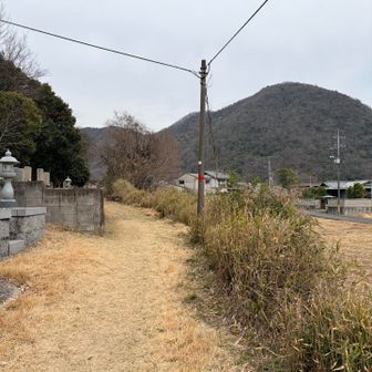 電柱を左に⬅️
お墓の間