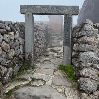 また今年もよろしくお願いします⛩️