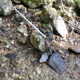 銀晶水、勢いよく流れていました。
ちなみに飲んでいません(笑)