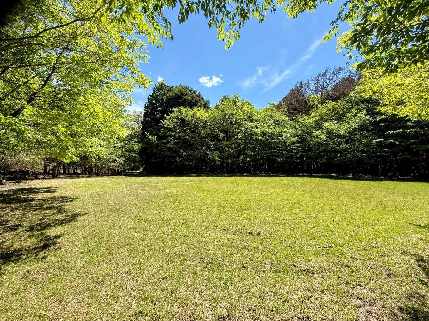 突然の広々芝生空き地に着いたら、