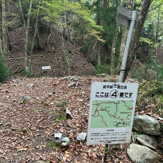 案内看板もあり安心