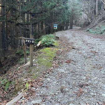 林道を歩き、伊豆ヶ岳の登山道へ