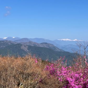 南アルプスまで見える！