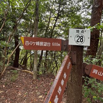 あと600㍍💨