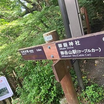 ロックガーデン分岐。
まあ最初に大岳山頂は
諦めたけど😮‍💨
大岳山荘も見たいし…

ロックガーデンを経由せずに
大岳山へ向かいます