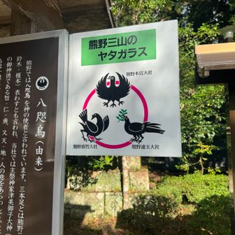 🐦‍⬛ 八咫烏（ヤタガラス）
熊野に伝わる、足が3本ある不思議なカラス。
昔、神武天皇が道に迷ったとき、正しい道へ案内したといわれていて
迷ったときに、正しい道へ導いてくれる鳥との事　鬼滅の刃やな