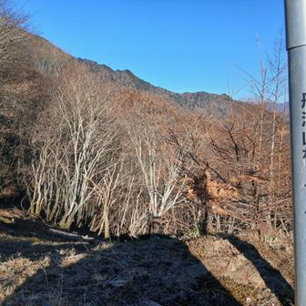 うーん…フルボッコ🤔