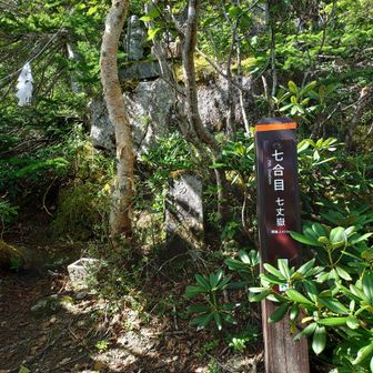 七合目
日が出て暑くなってきた🥵