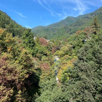 ニッパラ街道の奥側も山深い