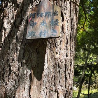 この木札ひっくり返してみて