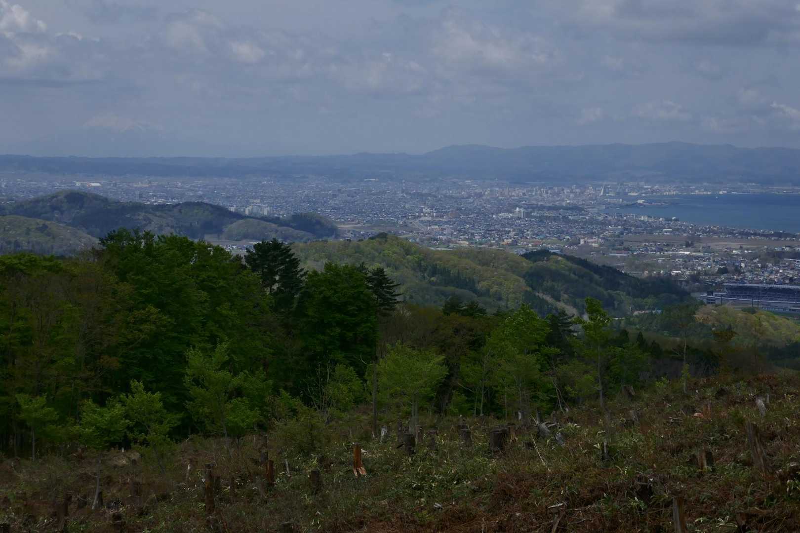 伐採跡地から見る青森市街