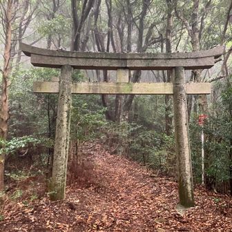 津乃峰山頂への鳥居