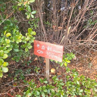 5剣は頂上からも少し左に進む