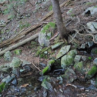 清水平の水場。水は湧き水で、とても冷たく美味かった。