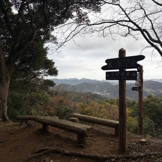 第三展望台、烏場山山頂少し手前ですがベンチがあって眺望もよく休憩にオススメです