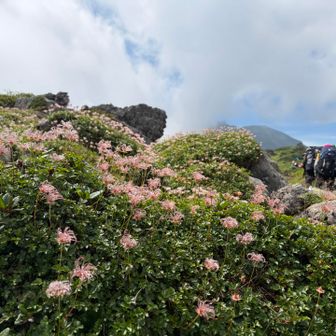 トムラウシ山が見えたり見えなかったり