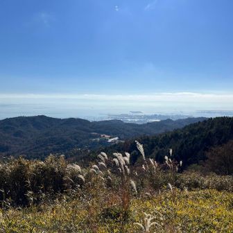 山頂を過ぎ、少し下って展望ポイントへ向かうも、勘違いでポイントの少し手前でランチ🍙
でも眺望は十分なので満足😆