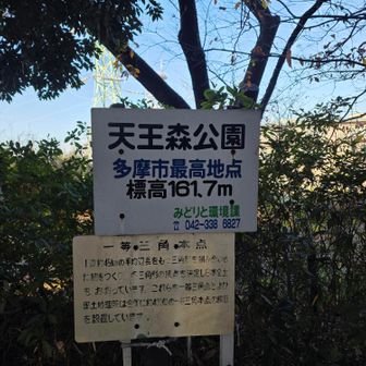 四座目の天王森の山は多摩市最高地点だそうです