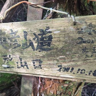 裏が消えてて残念です(笑)