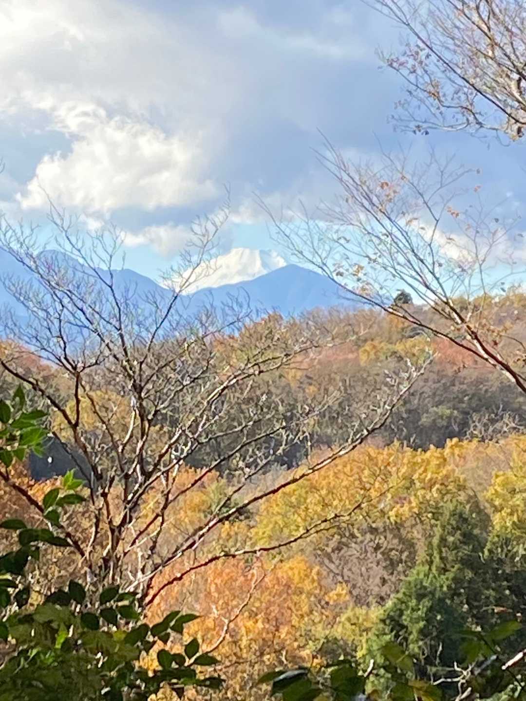富士山✨