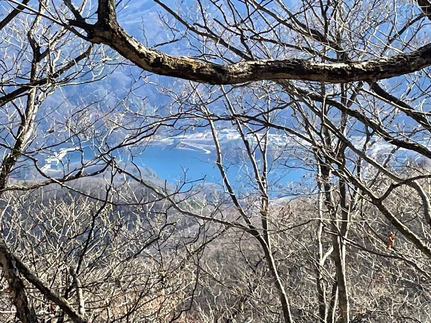 八ッ場ダムが見えます。落葉している今しか見られません。