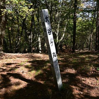 長い距離歩いてここの急斜面直登は足に来た～。
疲労困憊で大谷ヶ丸に到着