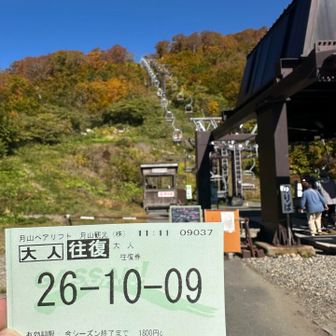 行ってきます🫡