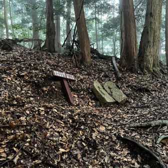 正面の道標で赤ルートに突き当たった。
左折、岩尾山山頂へ。