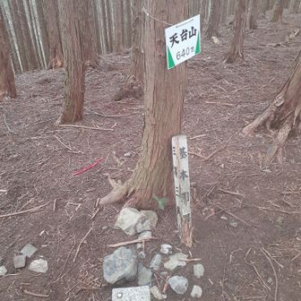 豊能のとんぼ池