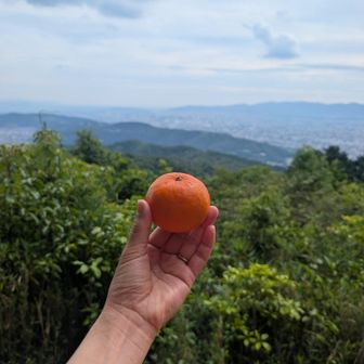 美味