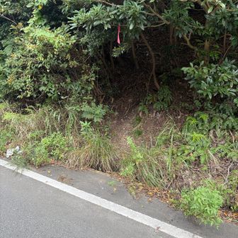ここから