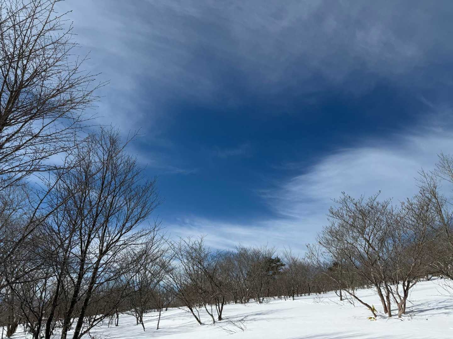 見返平まで戻ってきました。空が綺麗