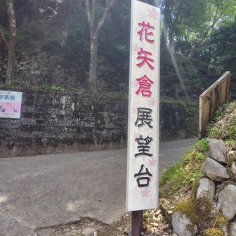 花矢倉展望台
かつて源義経の家臣である佐藤忠信がこの辺りで山の麓から追ってくる敵に矢を放ち、義経を逃がしたと伝えられています。
標高約600mの見晴らしのよい場所にある展望台は、手前の上千本の桜越しに中千本の桜や金峯山寺の蔵王堂、町並みまでを一望できる立体的な景観で吉野でも随一の絶景スポット。


