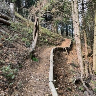 迂回路もきちんと整備されてる