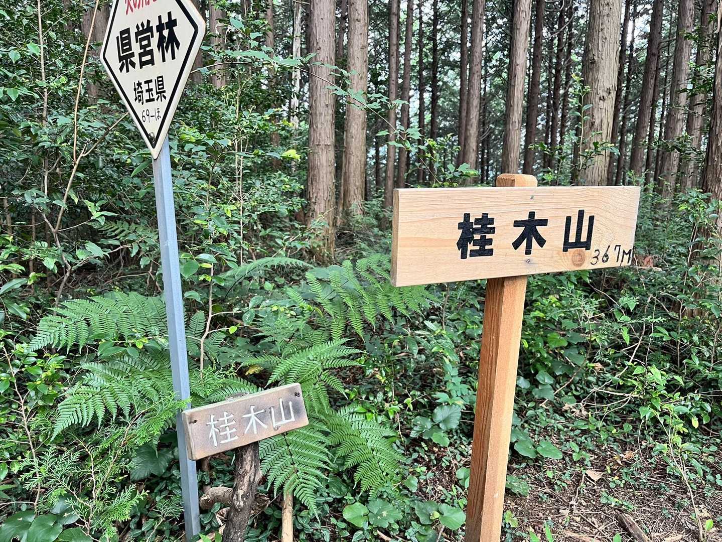 桂木山に着きました⛰