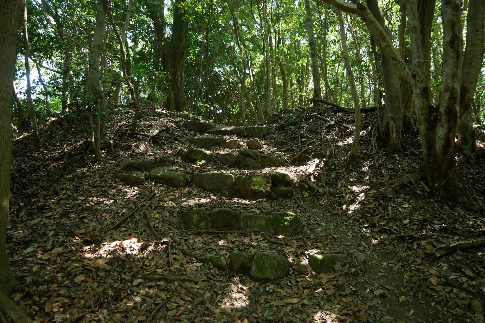城跡の名残でしょう、石階段