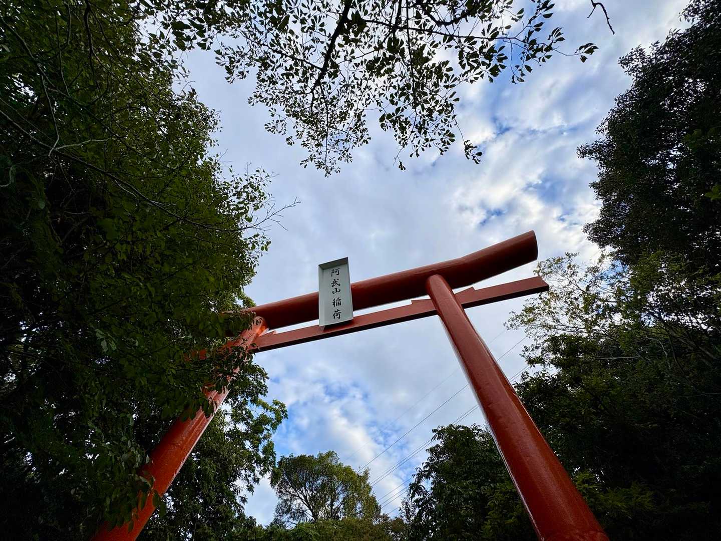 やっぱこの時期の鳥居周辺は樹々に覆われてますね⛩️🌿