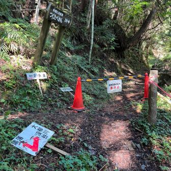 土砂崩落のため通行止🚷の箇所がありました