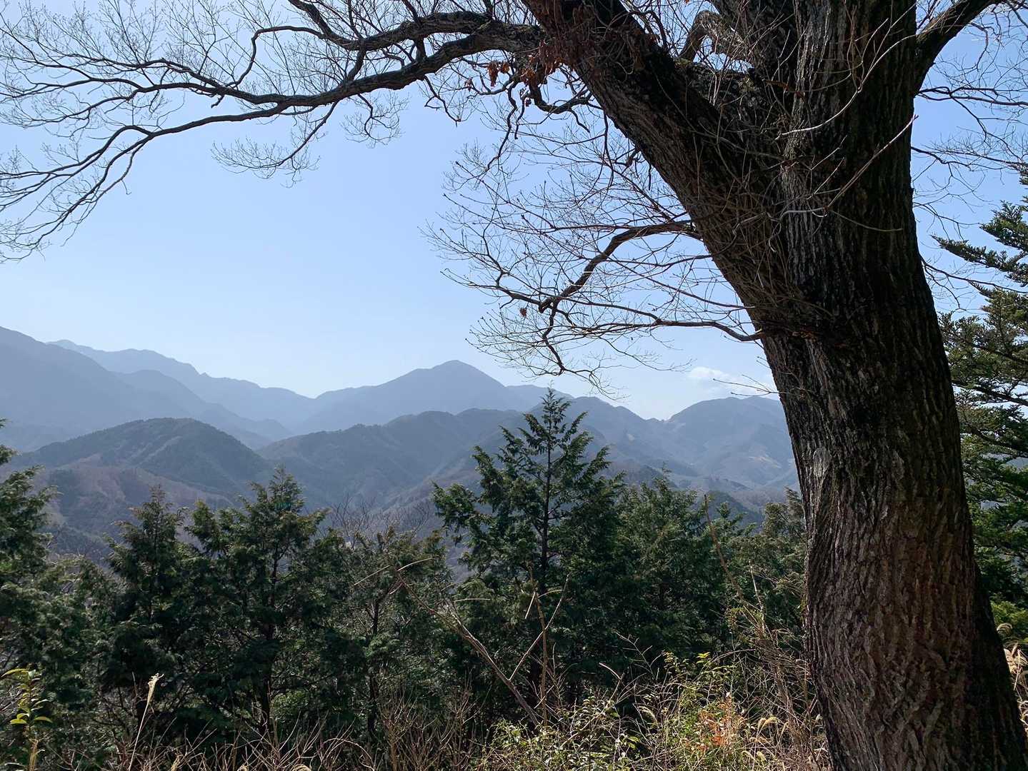 峰山 往復コースの写真